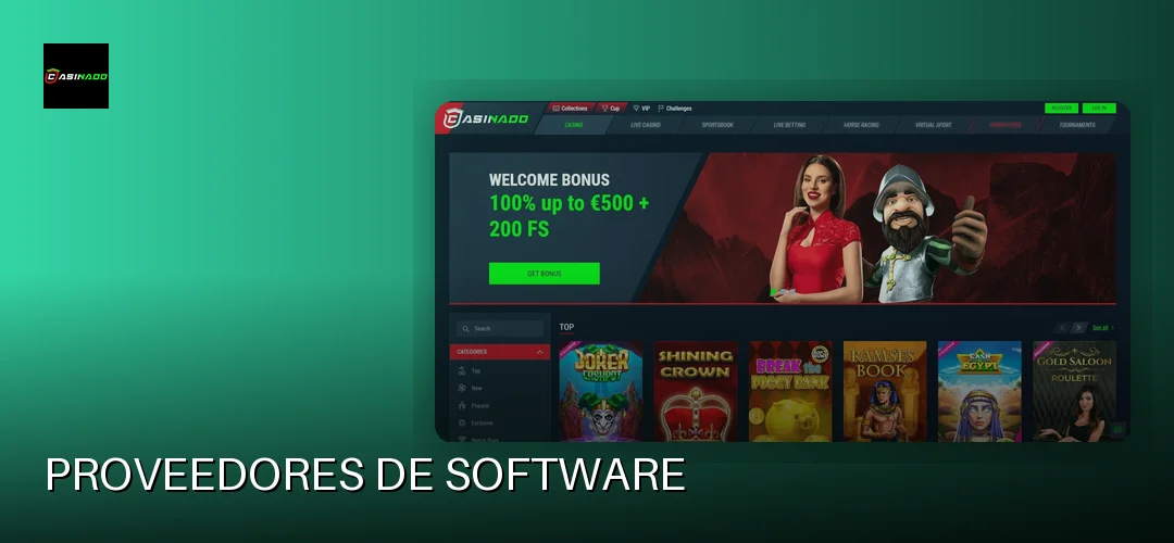 Proveedores de software