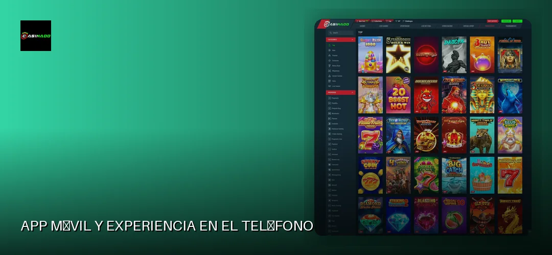 App móvil y experiencia en el teléfono