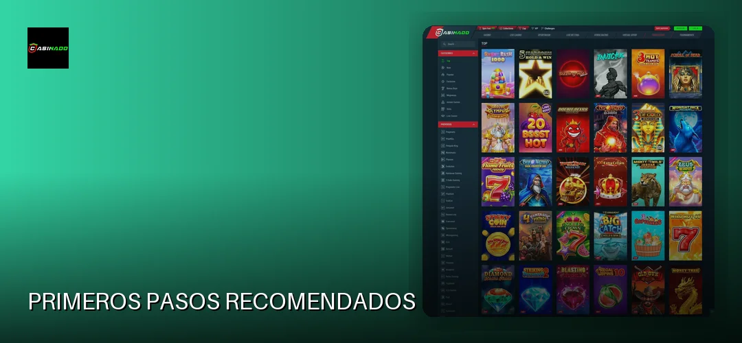 Primeros pasos recomendados